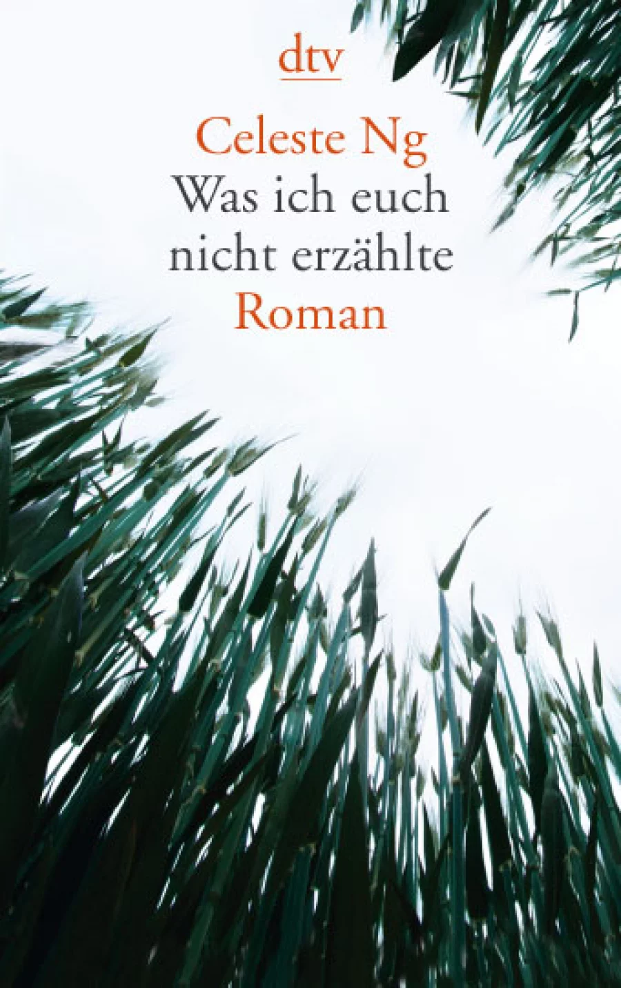 Was ich euch nicht erzählte | Copyright: dtv