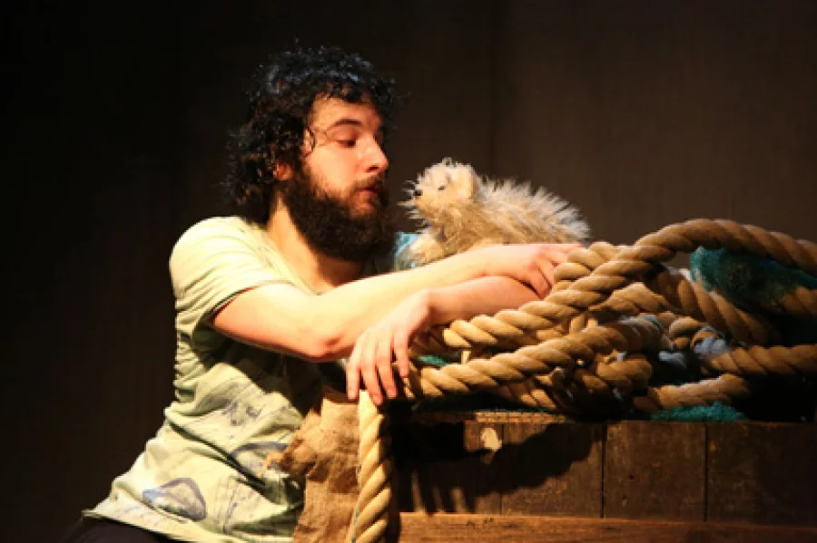 Noah, Niemand und der Gelbbauchkormoran | Copyright: Ursula Kaufmann