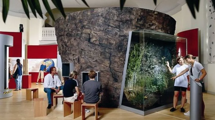 Maarmuseum Manderscheid | Copyright: Maarmuseum Manderscheid