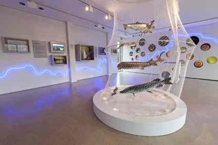 Fischereimuseum Ausstellungsraum | © U. Wuller