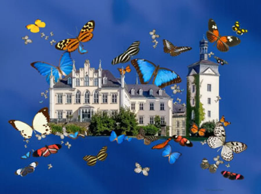 Fürstenschloss und Schmetterlinge | Copyright: Schloss Sayn