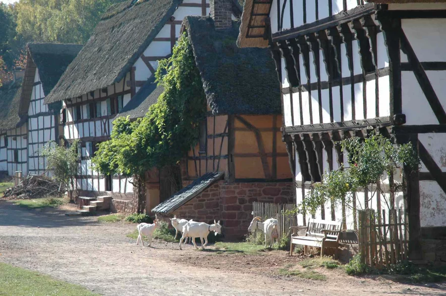LVR-Freilichtmuseum Kommern | Copyright: LVR-Freilichtmuseum Kommern